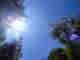 �V�C�̎���