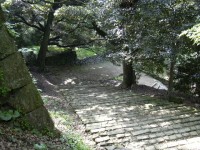 浜田城跡の写真
