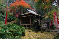 佐助稲荷神社の写真