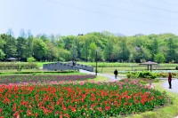 花の丘農林公苑の写真
