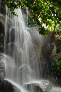 名主の滝公園の写真