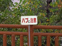 奥武山公園の写真