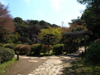 肥後細川庭園（旧新江戸川公園）の写真