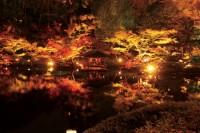 八芳園（東京）の写真