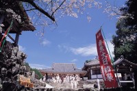 大日寺の写真