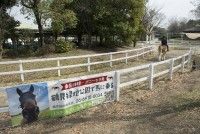 花博記念公園鶴見緑地の写真