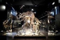 御船町恐竜博物館の写真
