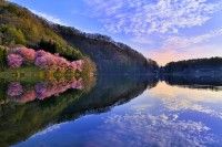 中綱湖の写真