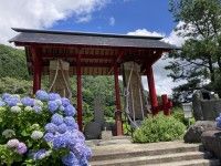 2代目親子松と大わらじの写真