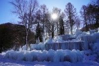 飛騨高山氷点下の森の写真