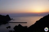 城山園地の写真