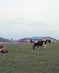 長門牧場の写真
