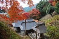 諏訪神社(鳥取県)の写真