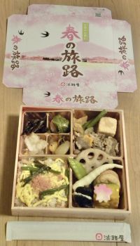 春の旅路の写真