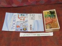 三陸しおさい弁当の写真