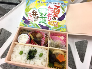 【終売】夏のたっぷり野菜弁当1