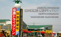 旅の駅 桜島ドライブインの写真