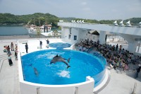 九十九島水族館「海きらら」の写真