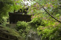弥谷寺の写真