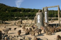 銚子渓自然動物園の写真