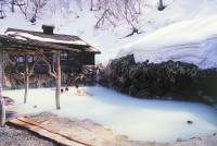 乳頭温泉郷 鶴の湯温泉の写真