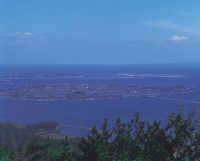 大根島の写真
