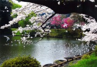県立三ッ池公園の写真