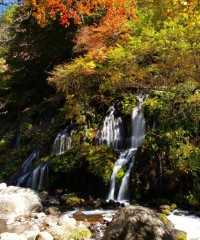吐竜の滝の写真