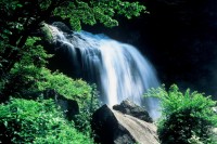 精進ヶ滝の写真