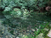Ikeyama Spring Source