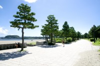 海の公園の写真