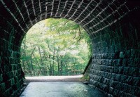旧天城トンネルの写真