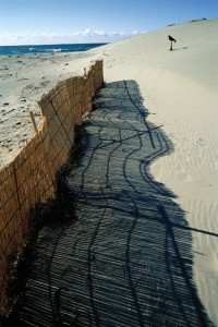中田島砂丘の写真