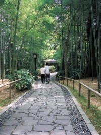 Chikurin no Komichi (Bamboo Forest Path)