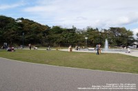 函館公園の写真