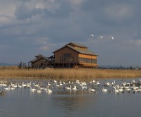 米子水鳥公園の写真