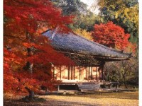 Fukiji Temple