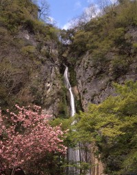 絹掛の滝の写真