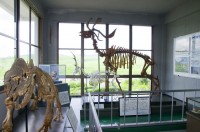 秋吉台科学博物館の写真