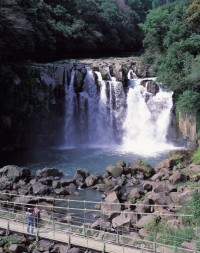 関之尾滝の写真