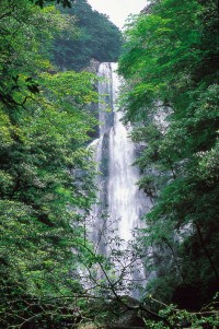 矢研の滝の写真
