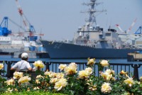 ヴェルニー公園の写真