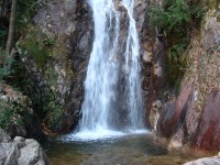 楊梅の滝の写真