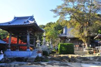 常楽寺（徳島市）の写真