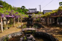 藤井寺の写真