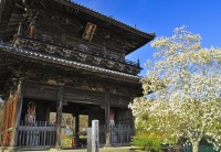 熊谷寺の写真