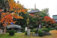 安楽寺（徳島）の写真