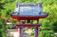 大日寺（徳島）の写真