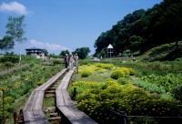 湯沢高原（アルプの里）の写真