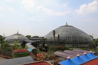 姫路市立手柄山温室植物園の写真
